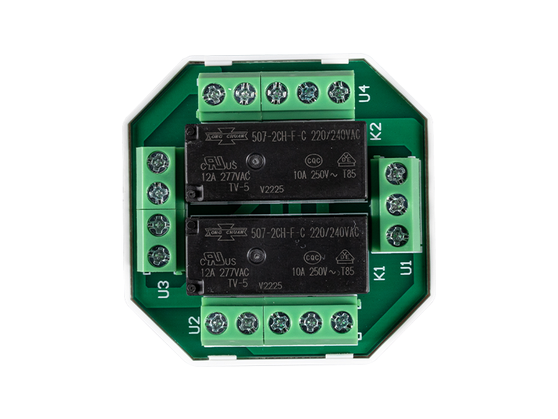 RC06 Buismotor/Gordijnmotor Groepscontroller